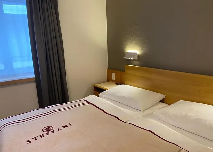 Hotel Petit Steffani Sankt Moritz